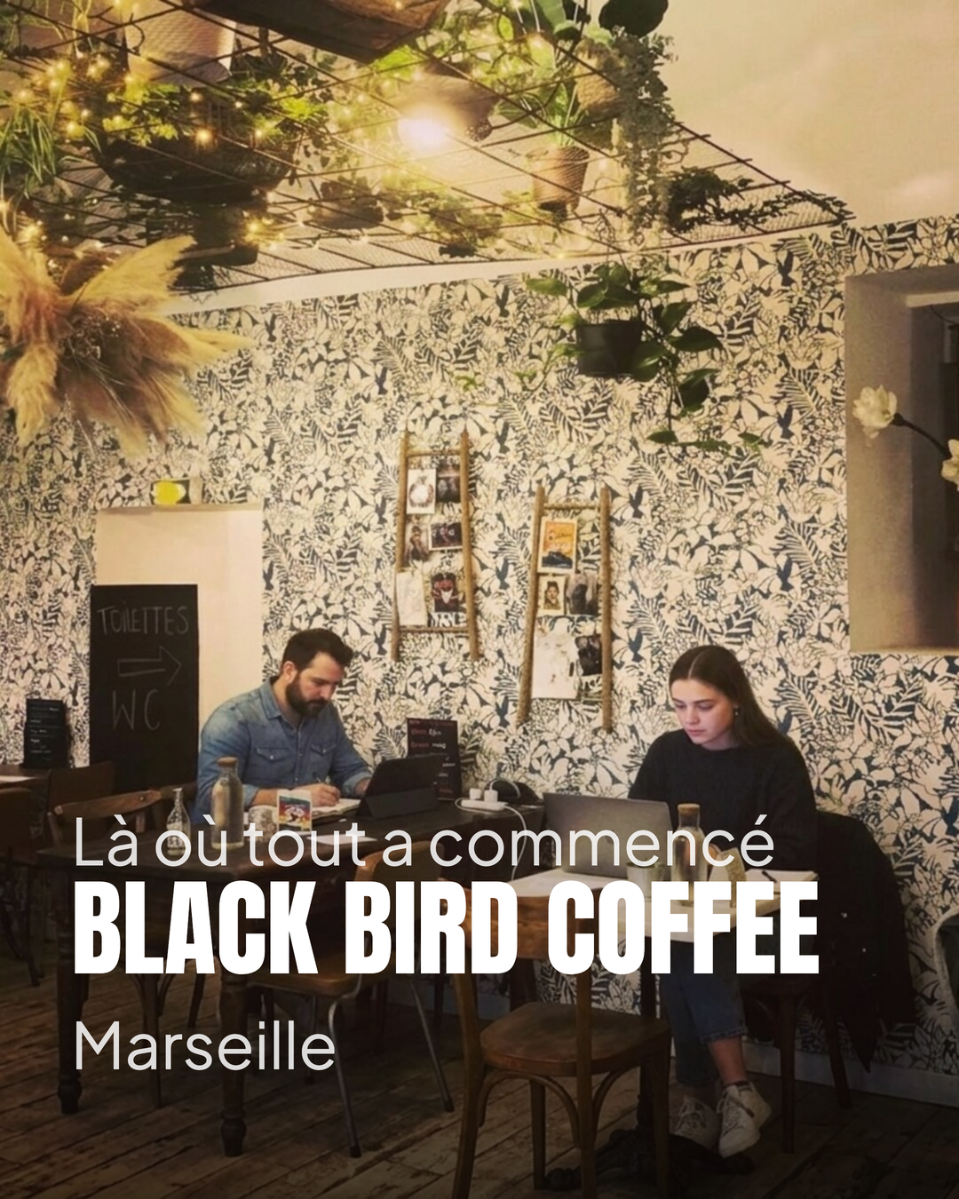 Cours Julien, novembre 2024. On venait de créer notre startup studio et c’est ic