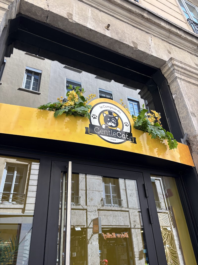 le Gentle Cat