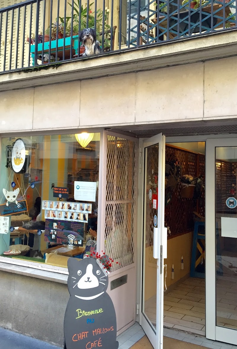 Le Chat Mallows Café