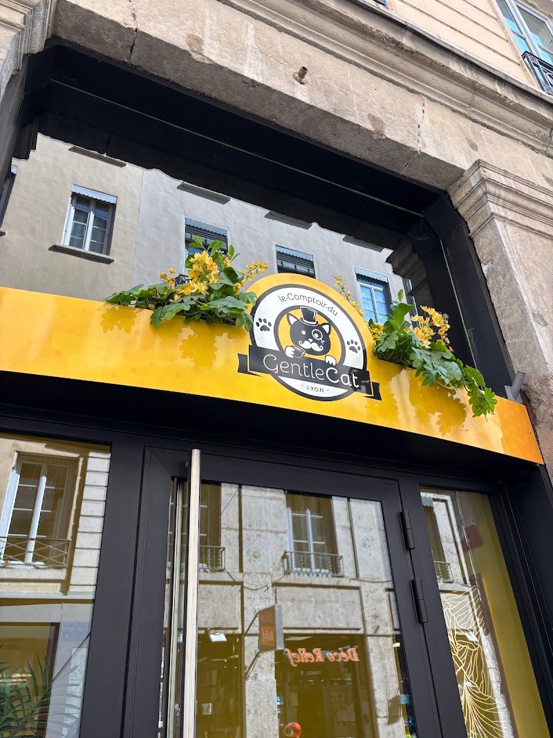 le Gentle Cat