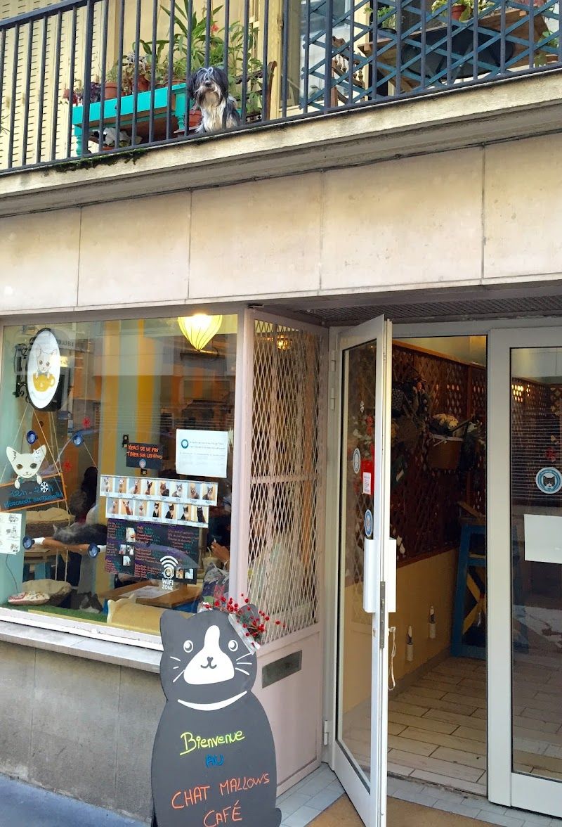 Le Chat Mallows Café