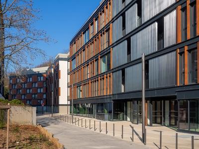 Newton Offices Vaise