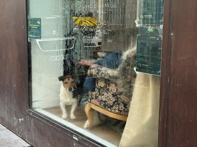 FAFA⎜Bouquinerie Café